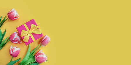 gift box, tulip flower on colored background