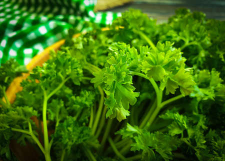 fresh parsley on wooden background