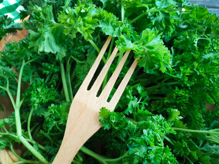 fresh parsley on wooden background
