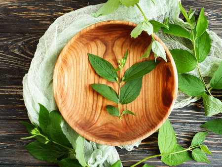 wooden plate, green branch on wooden backgroundの写真素材
