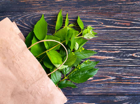 paper bag, green branch on a wooden backgroundの写真素材