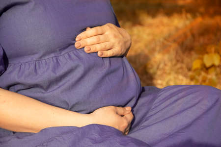 pregnant girl belly in the park