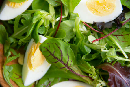 lettuce, boiled egg in a plateの写真素材