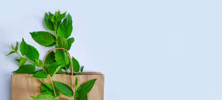 paper bag, leaves on colored backgroundの写真素材