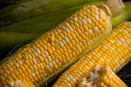 raw corn on wooden background
