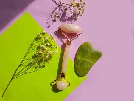 massage roller flower on colored backgroundの写真素材