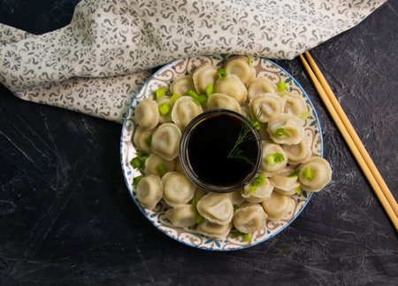 dumplings, soy sauce on concrete backgroundの写真素材