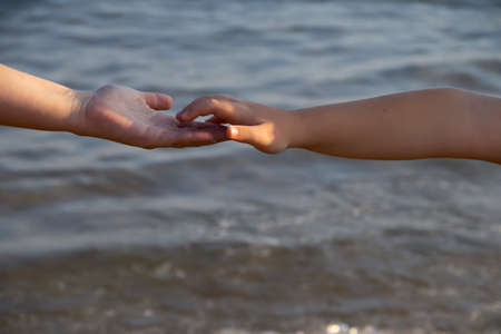 hand of mom and baby on the background of the seaの写真素材