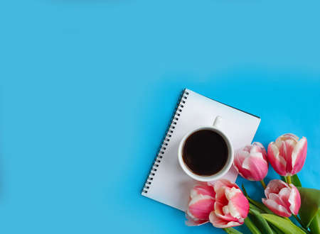 cup of coffee, flower tulip, notebook on colored background