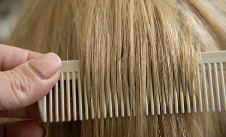 female hand comb beautiful hairの写真素材