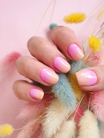 female hand beautiful manicure on a colored backgroundの写真素材