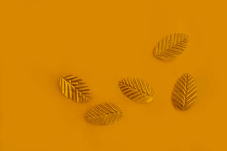 golden decorative leaves on colored background frameの写真素材