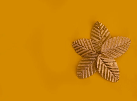 golden decorative leaves on colored background frameの写真素材