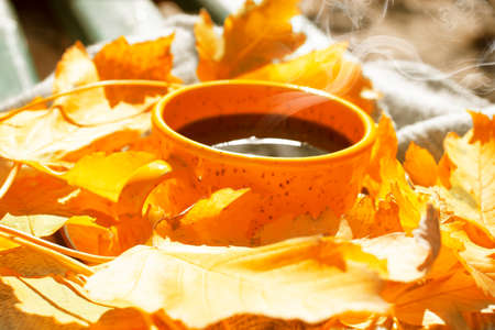 cup of coffee, autumn maple leaf, scarf on a wooden background,の写真素材