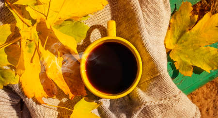 cup of coffee, autumn maple leaf, scarf on a wooden background,の写真素材