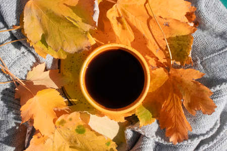 cup of coffee, autumn maple leaf, scarf on a wooden background,の写真素材