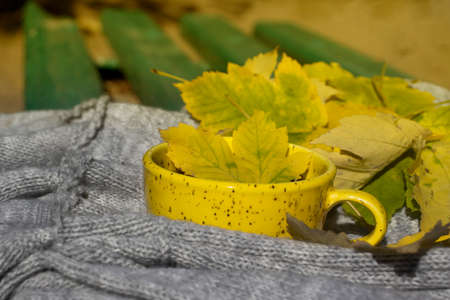 cup of coffee, autumn maple leaf, scarf on a wooden background,の写真素材