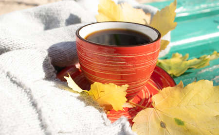 cup of coffee, autumn maple leaf, scarf on a wooden background,の写真素材