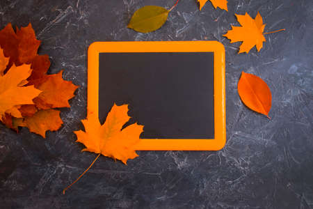 autumn leaves on concrete backgroundの写真素材