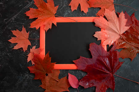 autumn leaves on concrete backgroundの写真素材