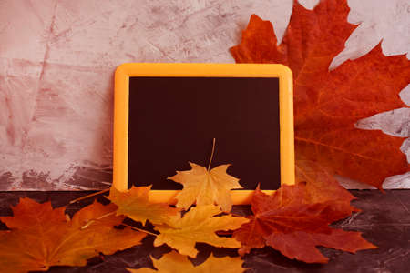 autumn leaves on concrete backgroundの写真素材