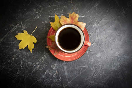 coffee cup autumn leaves on concrete background