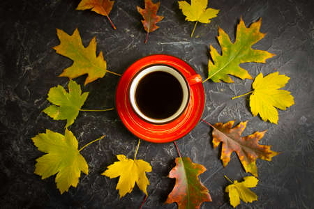 coffee cup autumn leaves on concrete backgroundの写真素材