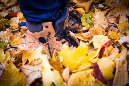 baby feet boots autumn leavesの写真素材
