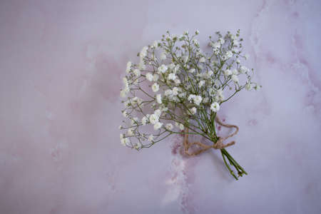 beautiful color gypsophila frame on concrete backgroundの写真素材