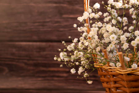 beautiful gypsophila flower frame on wooden backgroundの写真素材
