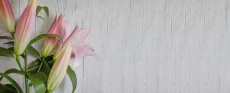 beautiful lily flower on a wooden backgroundの写真素材