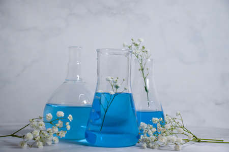 laboratory flask flower on a light backgroundの写真素材