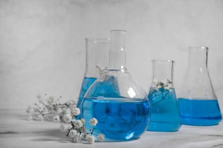 laboratory flask flower on a light backgroundの写真素材