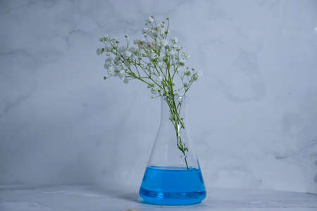 laboratory flask flower on a light backgroundの写真素材