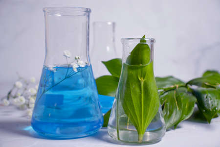 laboratory flask flower on a light backgroundの写真素材