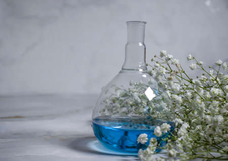 laboratory flask flower on a light backgroundの写真素材