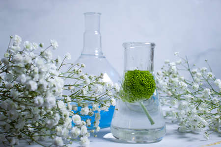 laboratory flask flower on a light backgroundの写真素材