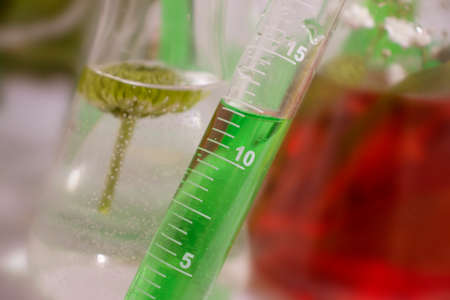 laboratory flask flower on a light backgroundの写真素材