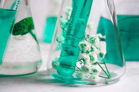 heart-shaped plate, gypsophila flowerの写真素材