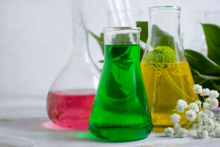 laboratory flask flower on a light backgroundの写真素材