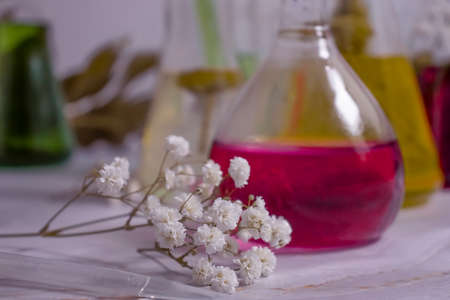 laboratory flask flower on a light backgroundの写真素材