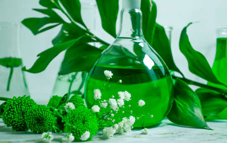 laboratory flask flower on a light backgroundの写真素材