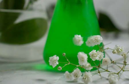 laboratory flask flower on a light backgroundの写真素材