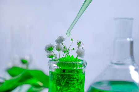 laboratory flask flower on a light backgroundの写真素材