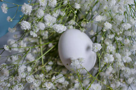eggs, gypsophila flower on a light backgroundの写真素材