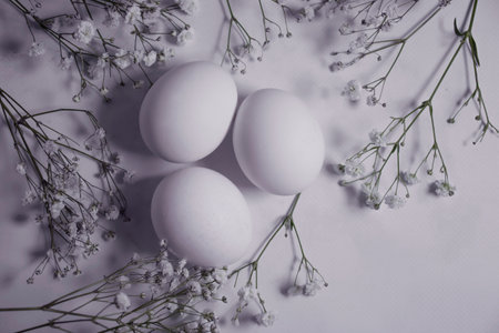eggs, gypsophila flower on a light backgroundの写真素材