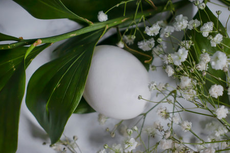 eggs, gypsophila flower on a light backgroundの写真素材