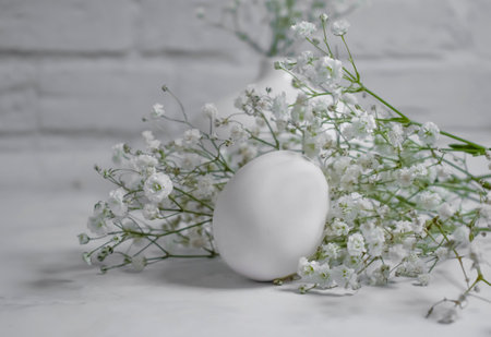 eggs, gypsophila flower on a light backgroundの写真素材