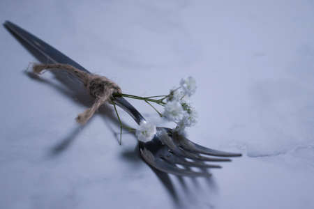 fork, gypsophila flower on concrete backgroundの写真素材