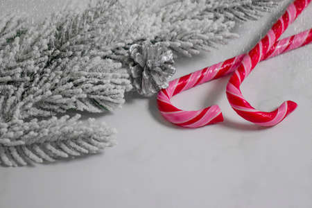 christmas tree branch, candy cane festive backgroundの写真素材